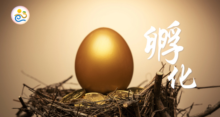 正向心和解实战体验课